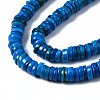 Natural Freshwater Shell Beads Strands SHEL-S278-025C-3