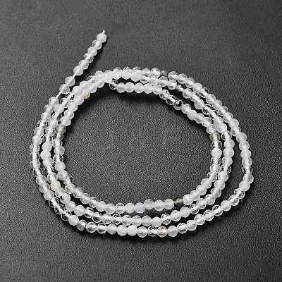 Natural Rainbow Moonstone Beads Strands G-RM2025-A15-2mm-1