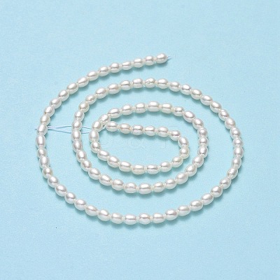 Natural Cultured Freshwater Pearl Beads Strands PEAR-J006-03A-1