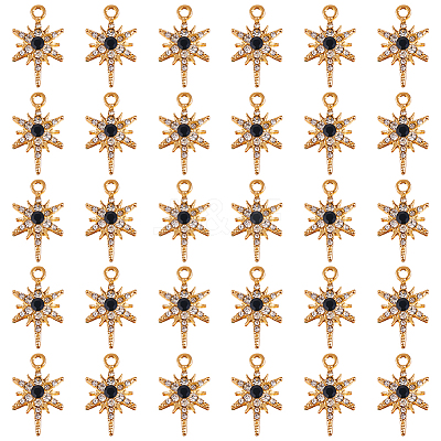 30Pcs Alloy Rhinestone Pendant FIND-SC0011-05-1