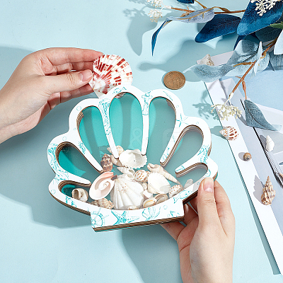 Shell Shape Wooden Jewelry Display Cases with Visible Window ODIS-SP0001-14A-1