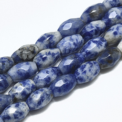 Natural Blue Spot Jasper Beads Strands G-S357-A06-1