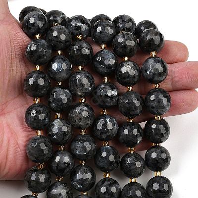 Natural Larvikite Beads Strands G-C249-A07-16mm-1