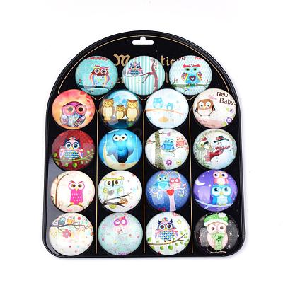 Fridge Magnets Glass Decorations GGLA-Q051-50mm-009-1