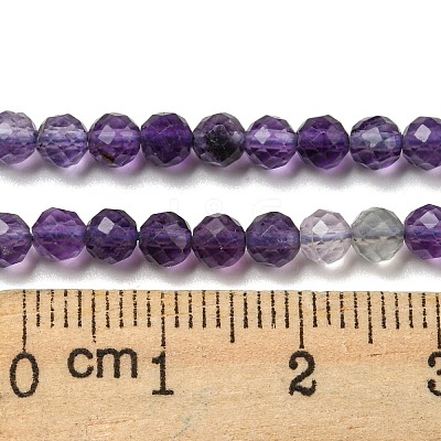Natural Fluorite Beads Strands G-K315-B01-01-1
