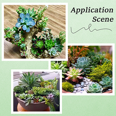 PVC Artificial Succulent Plant AJEW-SP0004-35A-1