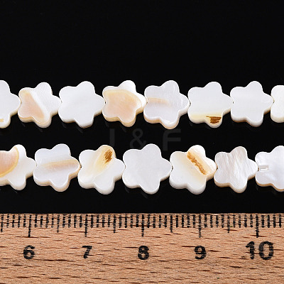Natural Freshwater Shell Beads Strands SHEL-S276-111A-1