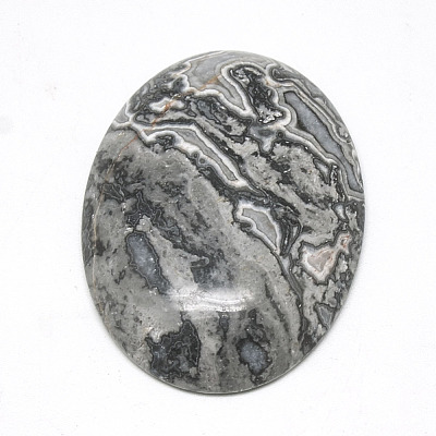 Natural Black Silk Stone/Netstone Cabochons G-R004-15A-1