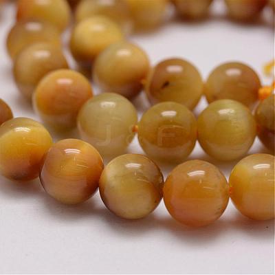 Natural Tiger Eye Bead Strands G-P230-08-E-8mm-1