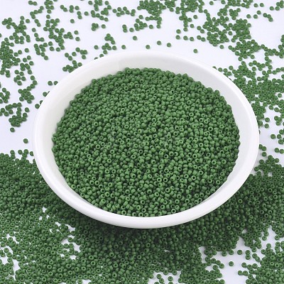 MIYUKI Round Rocailles Beads SEED-X0054-RR0411F-1