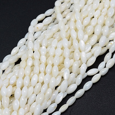 Dyed Natural Shell Beads Strands BSHE-E023-01C-1