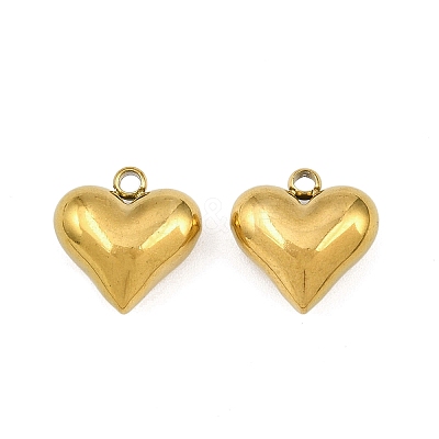 304 Stainless Steel Charms STAS-Z166-10G-1