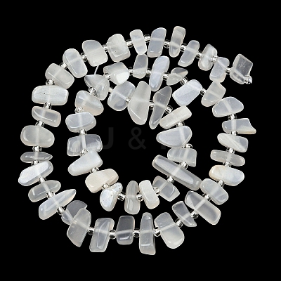 Natural White Moonstone Beads Strands G-L657-E02-01-1