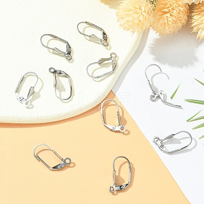 Tarnish Resistant 304 Stainless Steel Leverback Earring Findings X-STAS-E007-2-1