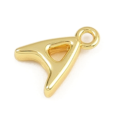 304 Stainless Steel Charms KK-I352-02G-1