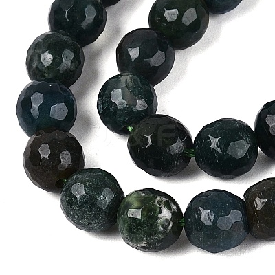 Natural Moss Agate Beads Strands G-Q606-42A-01-1