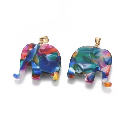 Resin Pendants X-KK-G361-01G-1