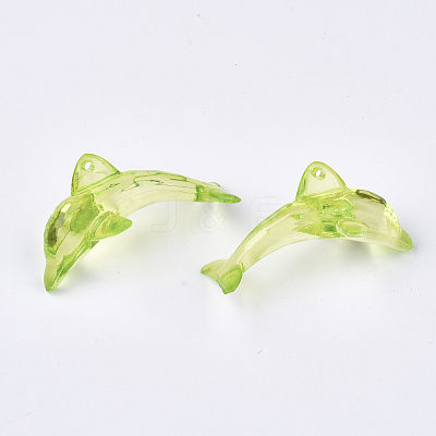 Transparent Acrylic Pendants TACR-S133-127-1