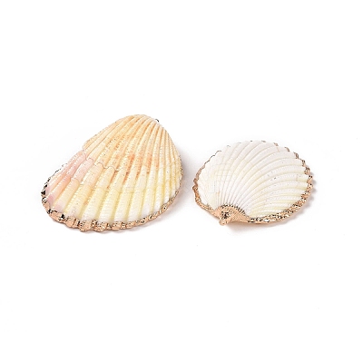 Shell Pendants SHEL-P075-03-1