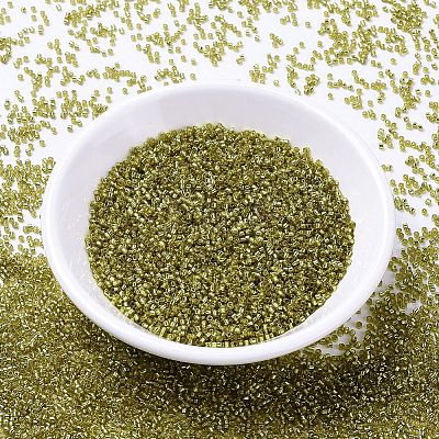 MIYUKI Delica Beads SEED-MY11-DB2164-1