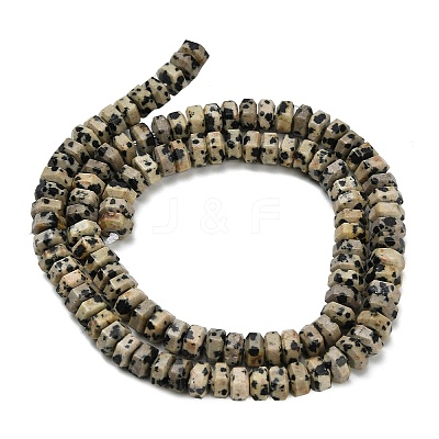Natural Dalmatian Jasper Beads Strands G-G317-A16-3x6mm-1
