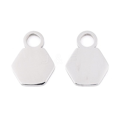 304 Stainless Steel Charms LS-STAS-T070-13P-1
