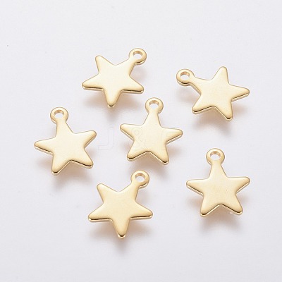 304 Stainless Steel Charms STAS-L234-069G-1