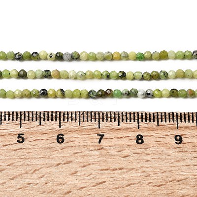 Natural Serpentine Beads Strands G-P603-C-2mm-06-1