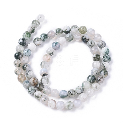 Natural Tree Agate Beads Strands G-L533-22-1