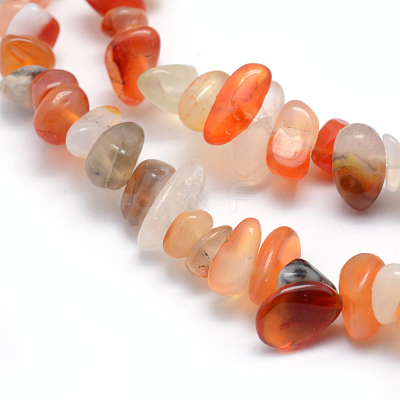 Natural Carnelian/Red Agate Beads Strands G-P332-34B-1