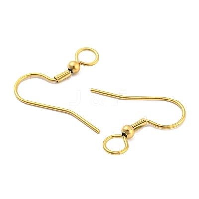 304 Stainless Steel Earring Hooks STAS-B047-30G-1