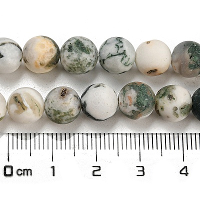 Natural Tree Agate Frosted Agate Round Gemstone Beads Strands X-G-O151-01-8mm-1