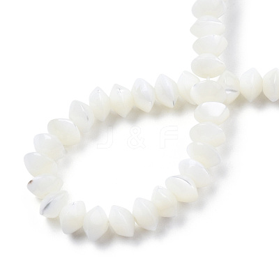 Natural Trochid Shell/Trochus Shell Bead Strands SSHEL-N034-134-1