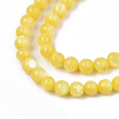 Natural Freshwater Shell Beads Strands SHEL-N003-24-B08-1