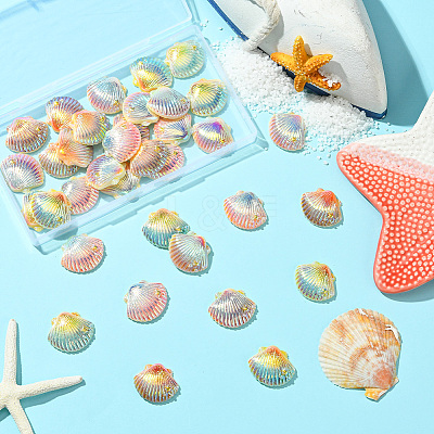 40Pcs 4 Colors Opaque Resin Cabochons CRES-SC0003-11-1