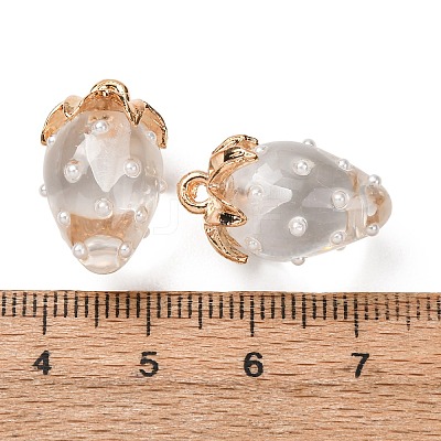 Resin Pendants FIND-C096-01G-05-1