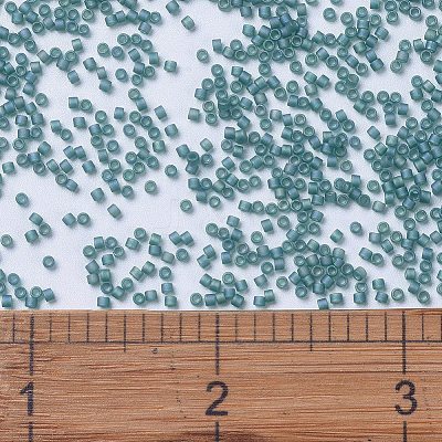 MIYUKI Delica Beads X-SEED-J020-DB1283-1