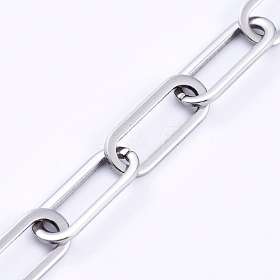 Non-Tarnish 3.28 Feet 304 Stainless Steel Paperclip Chains X-CHS-D031-03P-1