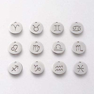 Non-Tarnish 304 Stainless Steel Hollow Charms Sets STAS-F246-01-1
