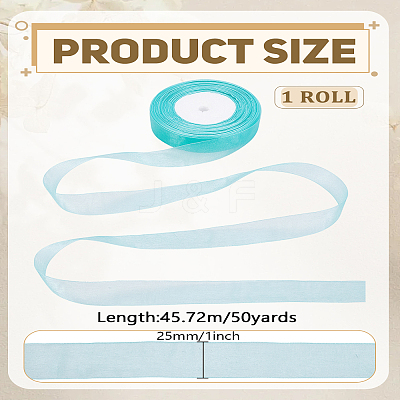 1 Roll Sheer Organza Ribbon OCOR-LP0001-73D-1