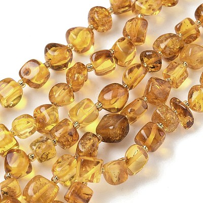 Natural Amber Beads Strands G-L095-E01-07-1
