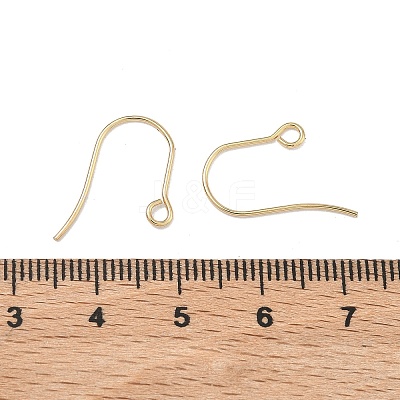 304 Stainless Steel Earring Hooks STAS-F142-01G-1