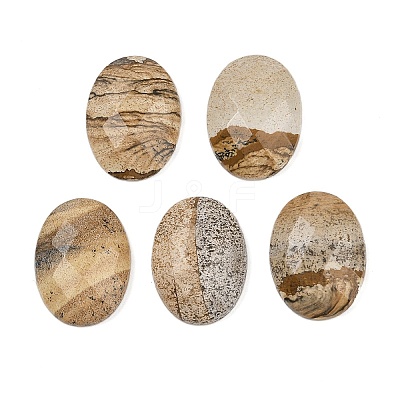 Natural Picture Jasper Cabochons G-Q186-01E-1