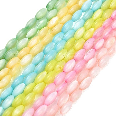 Natural Freshwater Shell Beads Strands SHEL-C010-01-1