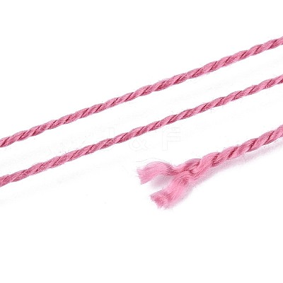 Braided Polyester Cord OCOR-T017-04A-30-1