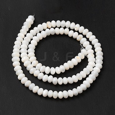 Natural Freshwater Shell Beads Strands BSHE-E026-15A-02-1