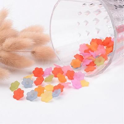 Mixed Color Transparent Frosted Acrylic Flower Bead Caps X-PL561M-1