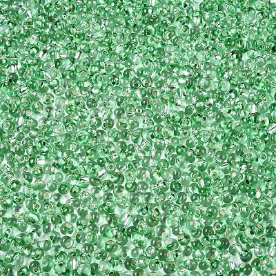 6/0 Baking Paint Transparent Fringe Glass Seed Beads SEED-N006-06K-1