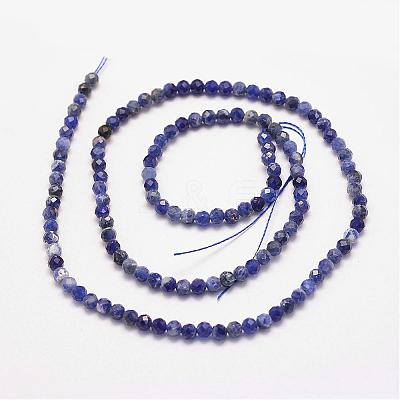Natural Sodalite Bead Strands G-P279-58-3mm-1
