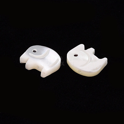 Natural Trochid Shell/Trochus Shell Beads SSHEL-T014-31-1